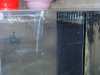 DSC04740.JPG