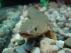 DSC09517.JPG