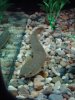 DSC09516.JPG