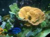 DSCF4674.JPG DSCF4674.JPG