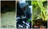 Picnik collage.jpg