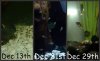 Picnik collage.jpg