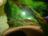 DSC07555.JPG