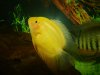 DSC07557.JPG