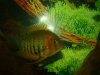 DSC07558.JPG