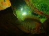 DSC07559.JPG