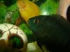 DSC07569.JPG