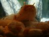 DSC07574.JPG