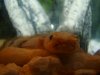 DSC07575.JPG