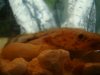DSC07577.JPG