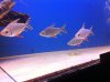 IMG_0440.JPG IMG_0440.JPG