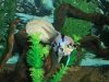 Fish 004.JPG