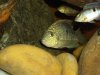 100_0129.JPG