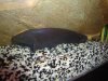 DSC01778.JPG