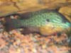100_0010.JPG