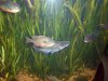100_0012.JPG