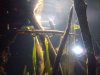 100_0013.JPG