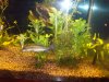 100_0014.JPG