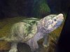 100_0019.JPG