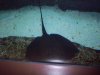 100_0022.JPG