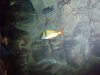100_0026.JPG