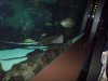 100_0027.JPG