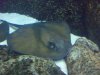 100_0028.JPG