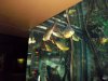 100_0047.JPG