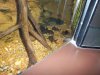 100_0048.JPG