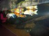100_0049.JPG