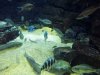 100_0051.JPG