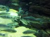 100_0053.JPG