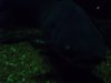 100_0082.JPG
