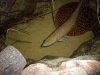 100_0099.JPG