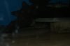 DSC00516.JPG