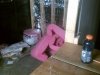 IMAG0210.jpg