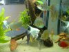 12072010328.jpg