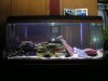 DSCN1047.JPG
