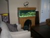 DSCN2726.JPG