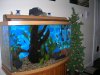 DSCN3056.JPG