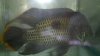 2011-01-18_13-35-01_477.jpg