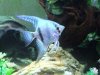 DSCF2744.jpg