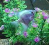DSCF2754.jpg