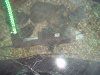2011-01-18 041.jpg