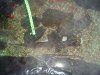 2011-01-18 042.jpg