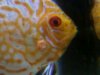 20110121123511.jpg