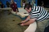 IMG_3534.JPG IMG_3534.JPG