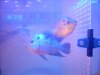 DSCN3219.JPG