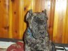 100_0210.JPG