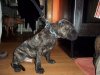 100_0199.JPG
